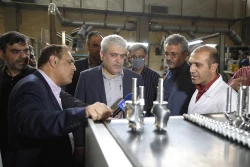 بازدید معاون علمی رئیس جمهور از شرکت های نانویی مسقر در پژوهشگاه پلیمر
 18